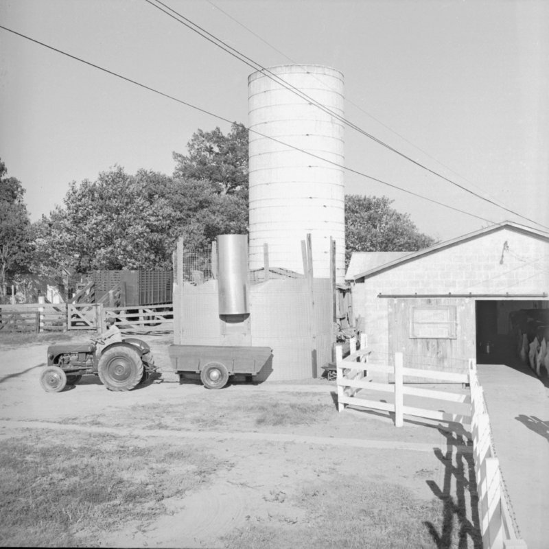106_Manure spreaders were used to... (1954).jpg